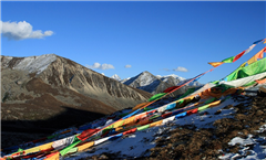 【春节游-卧虎藏龙】 成都、峨眉山全景、乐山大佛、都江堰、青城山双飞5日