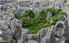 【梦幻古滇】昆明、大理、丽江双飞六日温泉之旅